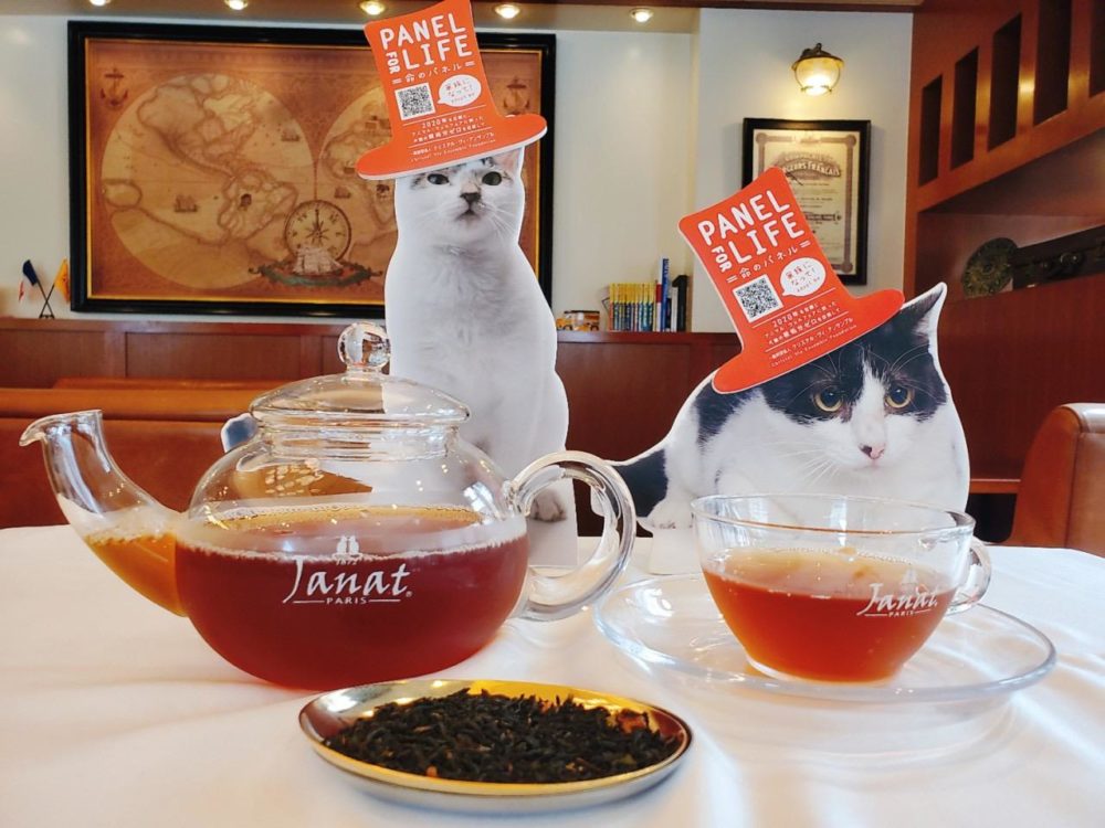 Support Animal Welfare with Janat Caravan Can tea